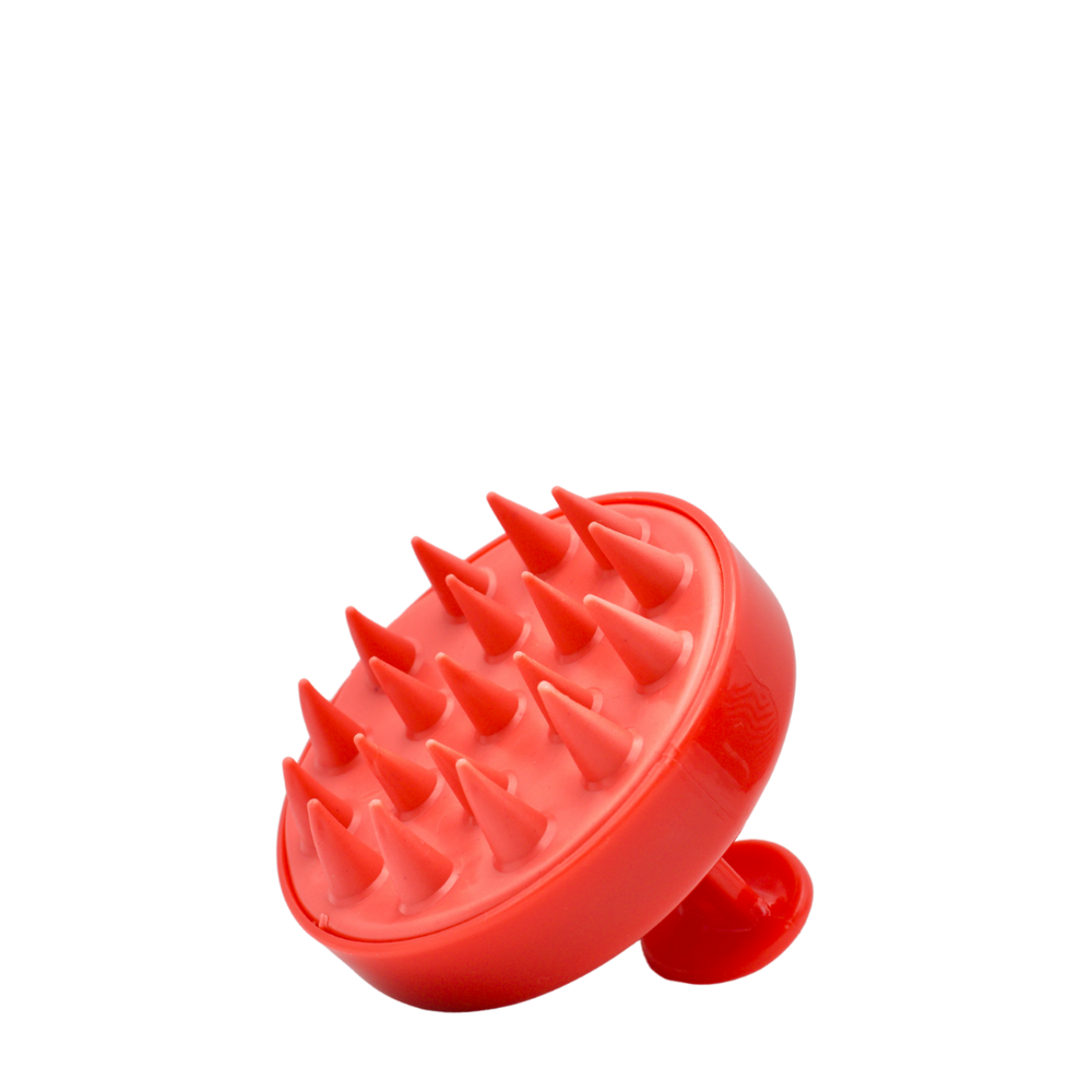 Scalp Brush