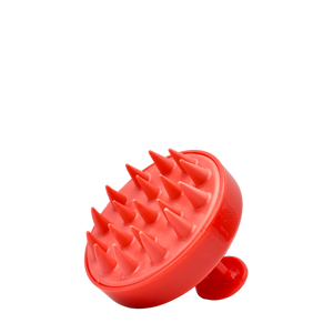Scalp Brush