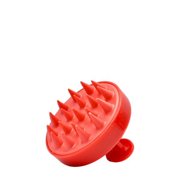 Scalp Brush