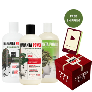 Styling Power Bundle + Curso & Mystery Gift