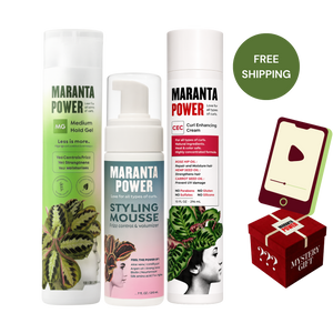 Styling Express Bundle + Course & Mystery Gift