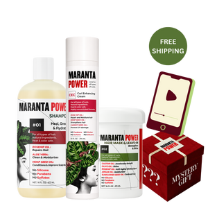 Pura Hidratación Bundle + Curso Gratis & Mystery Gift